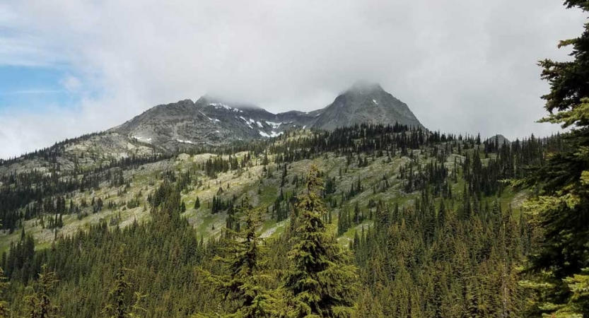 outdoor school in the pacific northwest